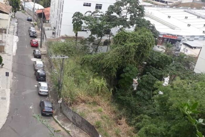 Mato alto dificulta passagem de pedestres 1 vu25.06