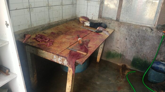 Polícia desmonta suposto abatedouro clandestino em Bicas 1 Matadouro irregular em Bicas Foto Divulgacao PM 4