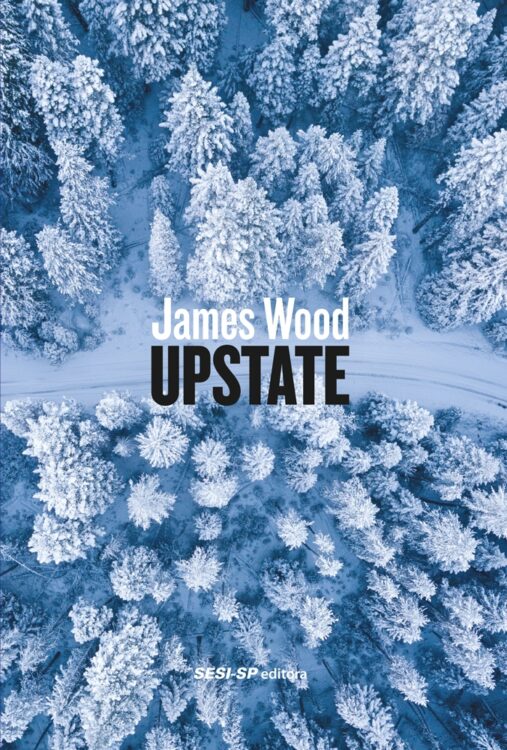 upstate 2d e1626456146318
