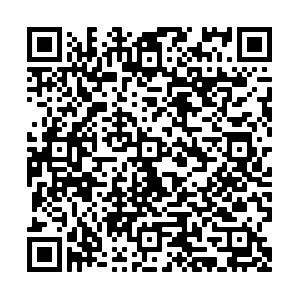 WhatsApp Image 2021 08 19 at 11.51