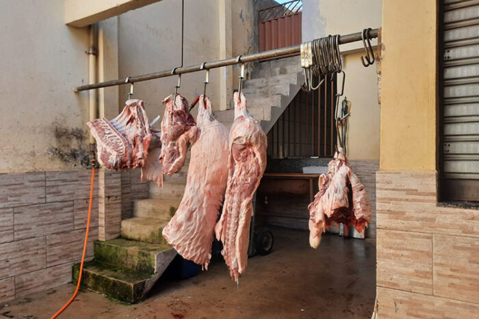 Uma tonelada de carne é apreendida em abatedouro clandestino em Ubá 1 abatedouro clandestino