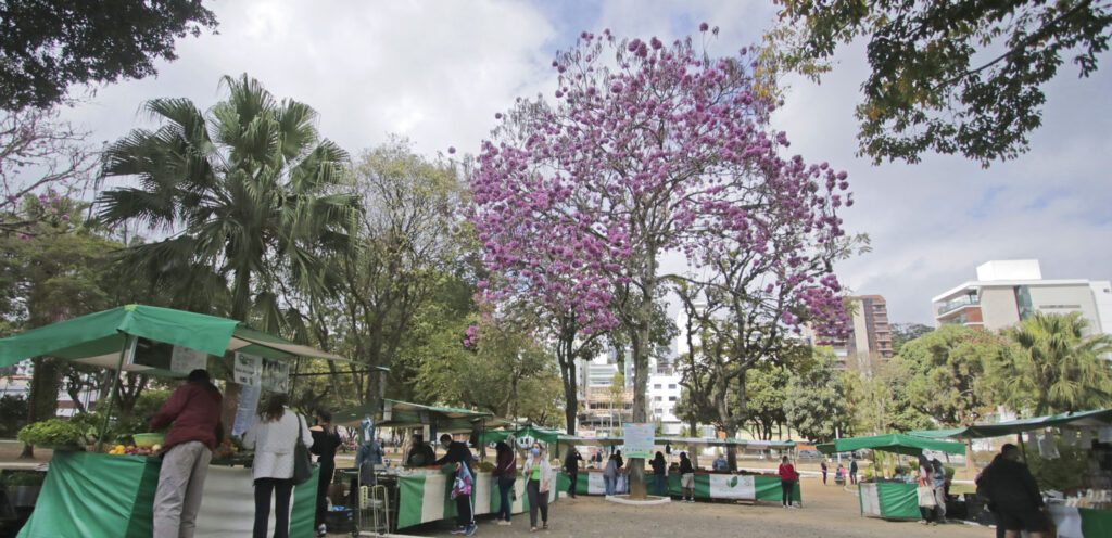 Associações e coletivos de agricultores podem se inscrever para solicitar uso de barracas de feiras 1 feira livre2