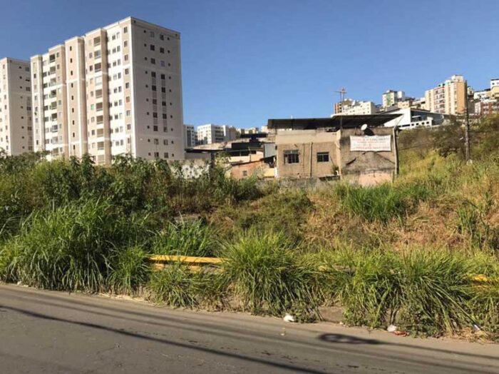 Ausência do serviço de capina no Democrata 1 vu20.08