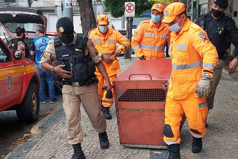 Capivara é resgatada em porta de prédio no Centro de Juiz de Fora 1 2 capivara na andradas by tais motta