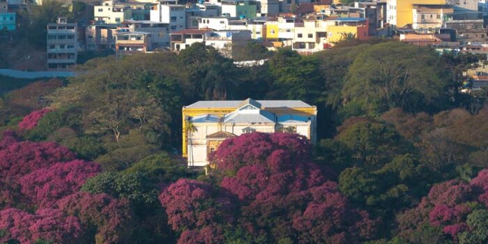 Justiça dá dez dias para que PJF escolha novo diretor do Museu Mariano Procópio 1 Primavera nos museus CAPA fernando priamo