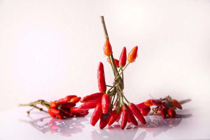 chili 664635 1920