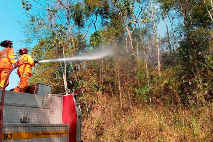 Idoso morre ao tentar acionar bombeiros para controlar incêndio na MG-353 1 incendio mg353 by bombeiros
