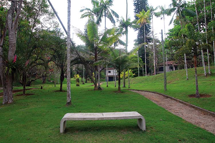 jardim-botanico-by-fernando-priamo10