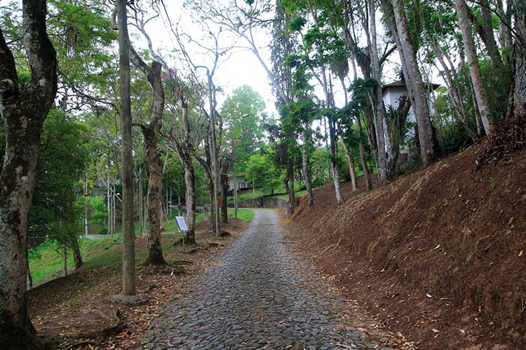 jardim-botanico-by-fernando-priamo11