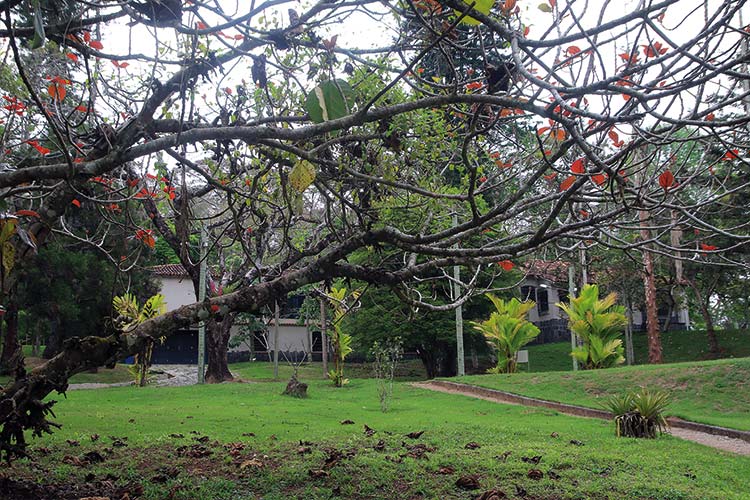 jardim-botanico-by-fernando-priamo5