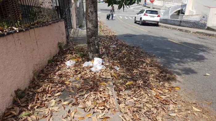 Ausência do serviço de limpeza em via pública 1 vu16.09