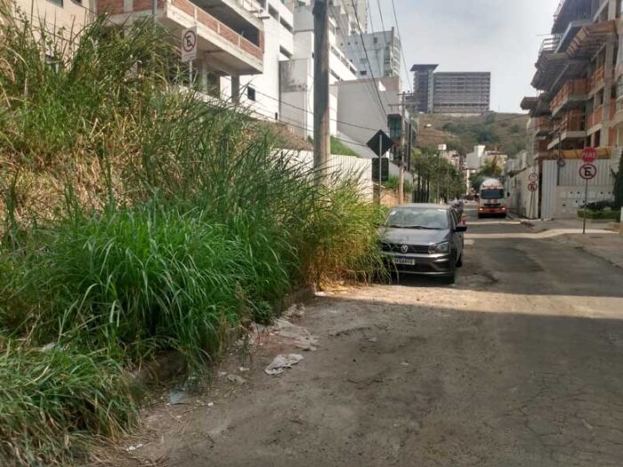 Mato se espalha em rua da Zona Sul 1 vu17.09