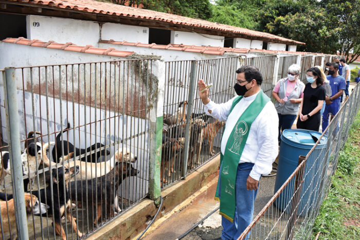 bencao animais canil