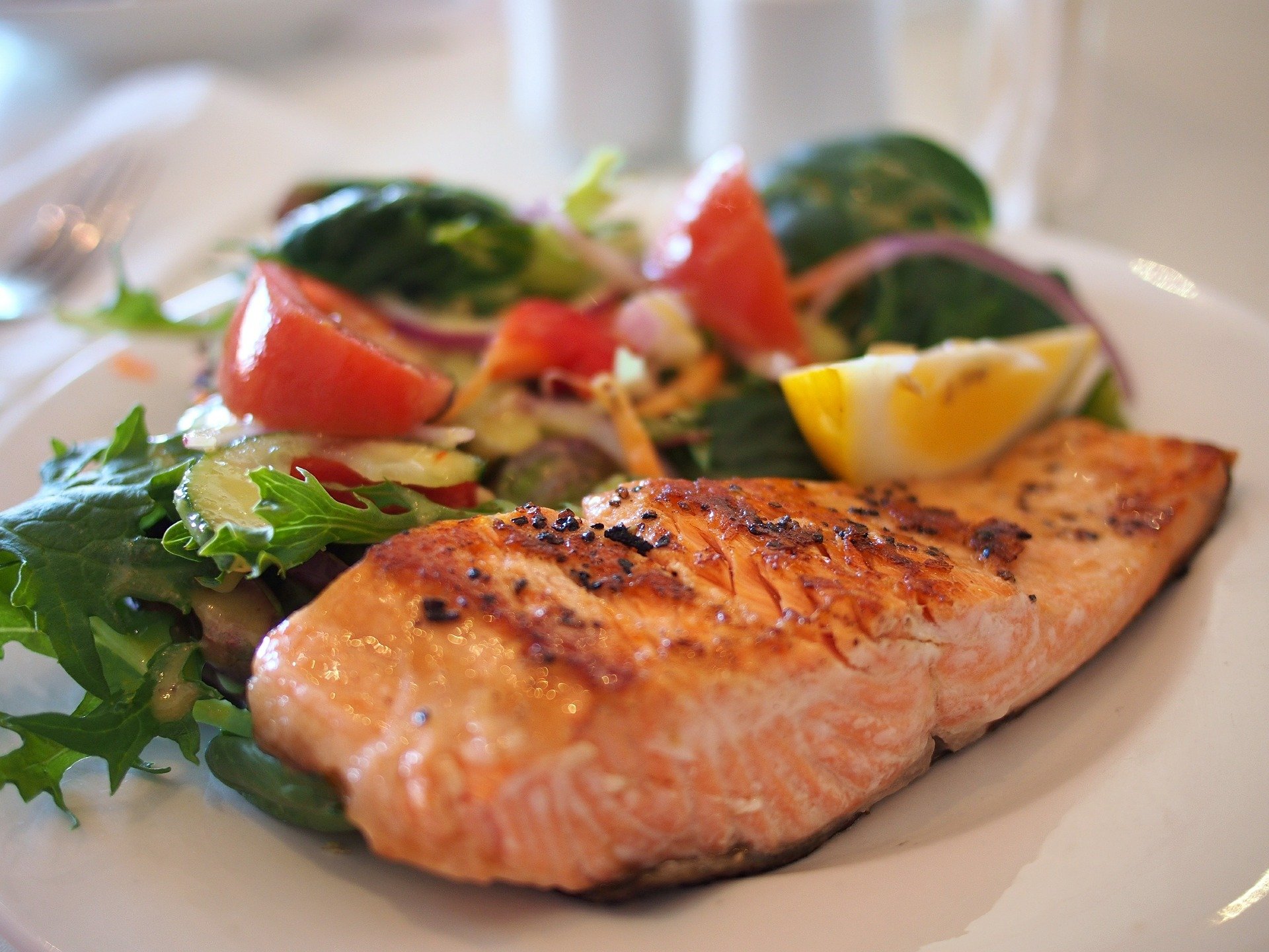 salmon g5c1d4b65e 1920