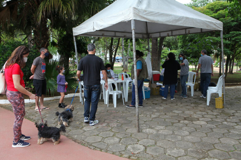 Vacinação antirrábica de cães e gatos continua na próxima semana 1 Antirrabica4 fernando priamo scaled e1638037052134