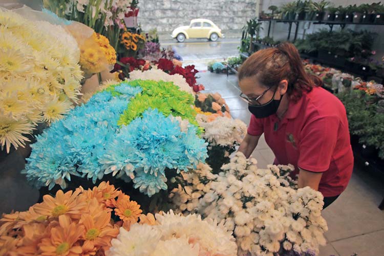 floricultura dia de finados by leo costa