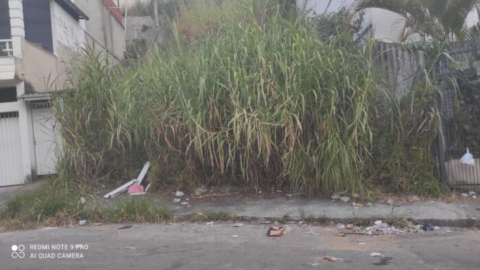 Leitora denuncia mato alto em terrenos no Bosque dos Pinheiros 1 vu09.11