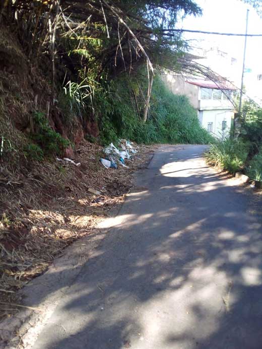 Leitora denuncia falta de capina e descarte irregular 1 vu11.11