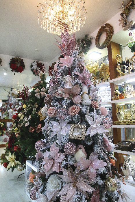 Decoracao Natal Loja Braz Shopping fernando priamo 15