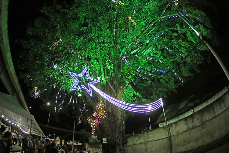 PJF inaugura 'Árvore da Vida', em homenagem às vítimas da Covid-19 1 arvore da vida by fernando priamo 1