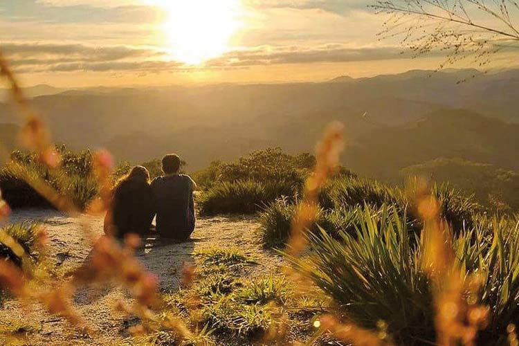 pico cabeca de formiga divulgacao