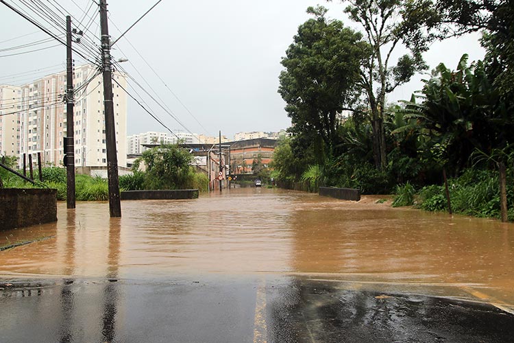 Rio Paraibuna tem segunda maior cheia em 20 anos, segundo Defesa Civil 2 Bairro Democrata e Vale do Ipe by fernando priamo