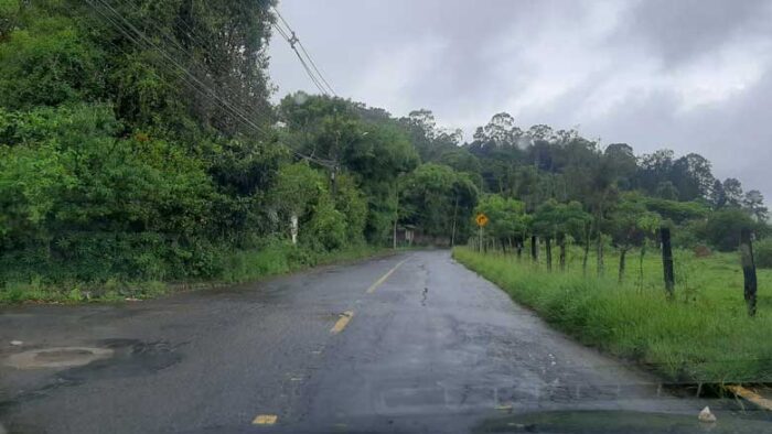Mato alto em frente ao Parque Municipal tem prejudicado pedestres 4 vu11.01