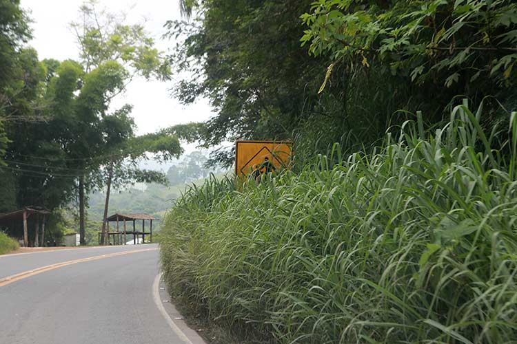 Às vésperas do carnaval, buracos e barreiras prejudicam tráfego nas estradas 1 BR 267 JF Bicas fernando priamo