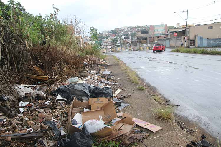 BR-440---limpeza-e-lixo---fernando-priamo-(32) BR-440---limpeza-e-lixo---fernando-priamo-(32)