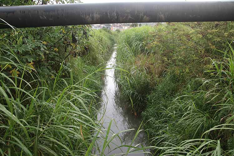 BR-440---limpeza-e-lixo---fernando-priamo-(70) BR-440---limpeza-e-lixo---fernando-priamo-(70)