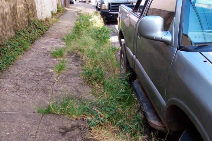 Leitora solicita capina na Rua Múcio Vieira 1 vu 24 04