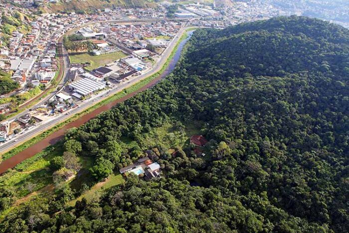 Prefeitura de Juiz de Fora avalia transformar áreas interditadas pela chuva em reservas ambientais 2 Mata do Krambeck fernando priamo