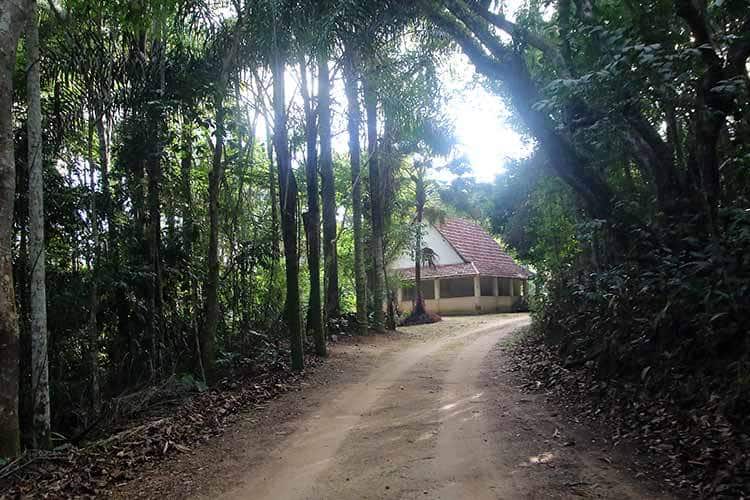 Estado investe R$ 20 milhões na criação do Parque Estadual Mata do Krambeck em JF 1 Venda da Mata do Krambeck ao Estado fernando priamo 17