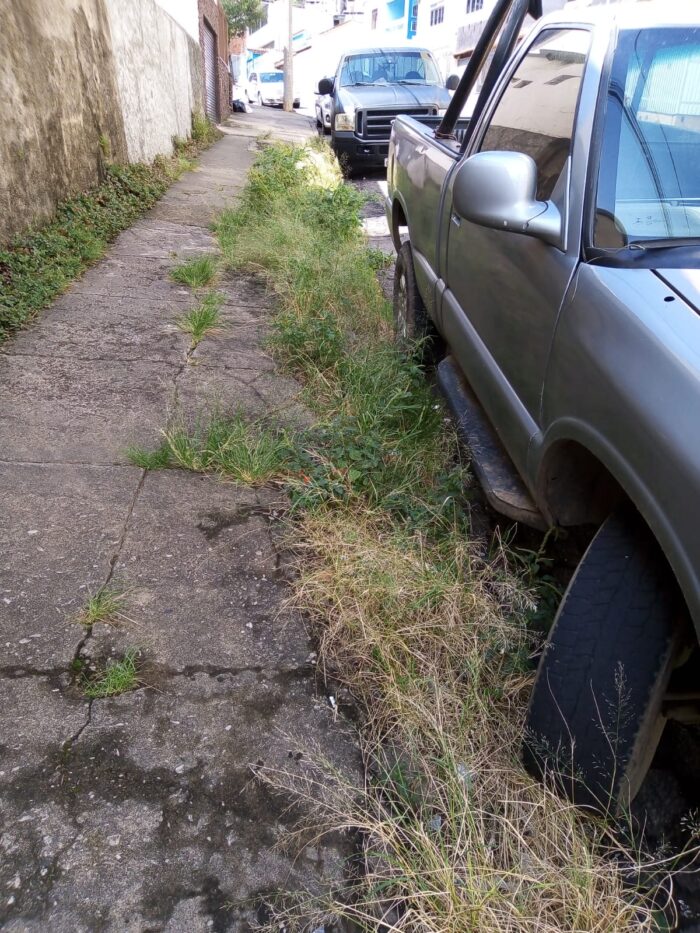 Leitora denuncia mato alto no Bonfim 1 WhatsApp Image 2022 05 16 at 12.26.08