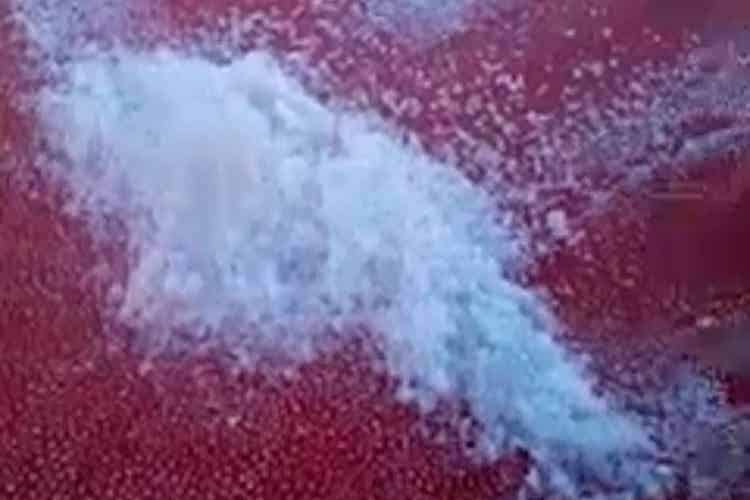 Ibitipoca e Bom Jardim de Minas têm geada e temperaturas abaixo de 3 graus 2 geada em bom jardim de minas bruno bittencourt