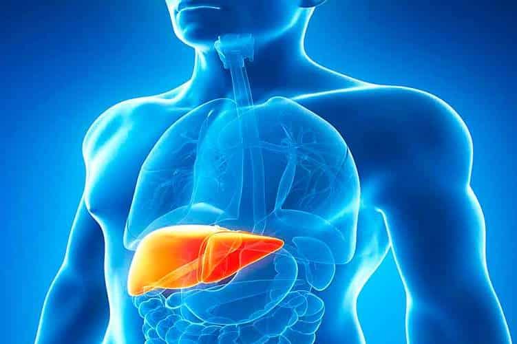 Hepatite infantil: saiba quais são os sintomas e como prevenir 1 Sintomas de hepatite infantil vão de febre a dores abdominais