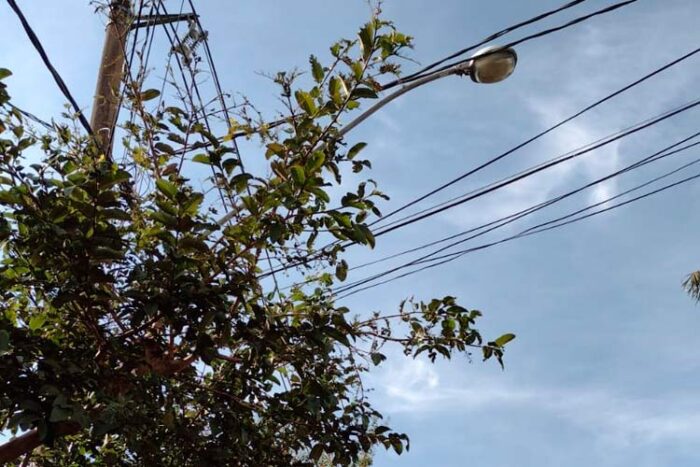 Leitor reclama de falta de iluminação pública no São Pedro 1 vu08 06