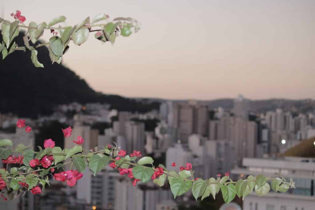 Fim de semana em Juiz de Fora deve ter tempo firme 1 IMG 0108