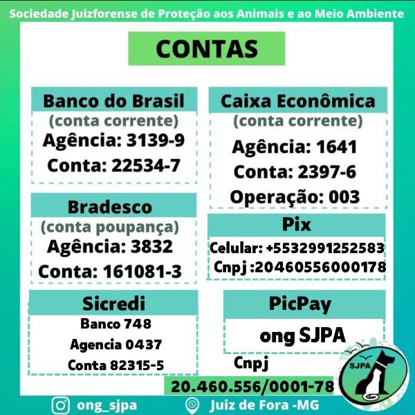 ONG que resgata animais consegue aumento de arrecadação de rações 1 abrigo animais ONG divulgacao