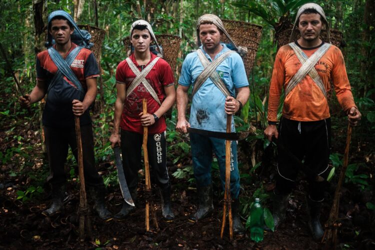 Sarancine 2022 tem início nesta sexta 1 sarancine CASTANHAL Still do filme e1658423483724
