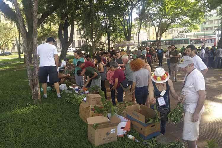 Feira de troca e doação de mudas acontece neste domingo 1 troca de flores e mudas divulgacao 1