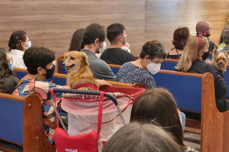 Bênção aos Animais foto Leonardo Costa 4 Bênção aos Animais foto Leonardo Costa 4