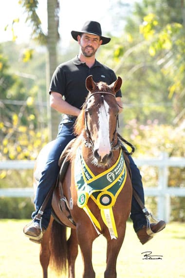 Homem com cavalo
