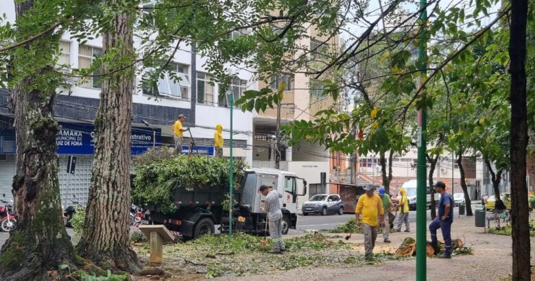 Trânsito de JF segue com alterações após temporal 2 galhos de arvores cairam 2 e1663850297641