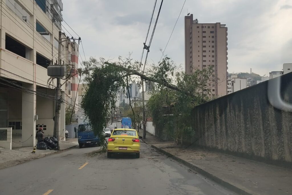 Confira as ruas de JF que seguem interditadas por conta da chuva 1 rua dom silverio arvore caiu e1663849705500