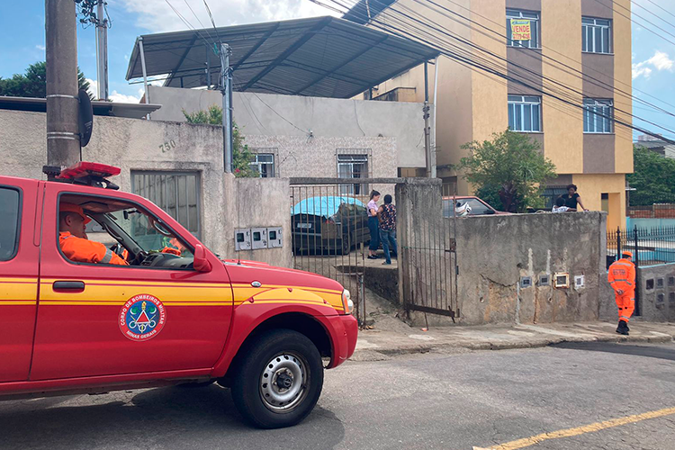 Pitbull ataca e mata idosa no Bairro Mundo Novo 1 Ataque pitbull Mariana Floriano