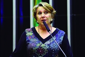 Lotação eleitoral 5 ERIKA KOKAY.camaradosdeputados