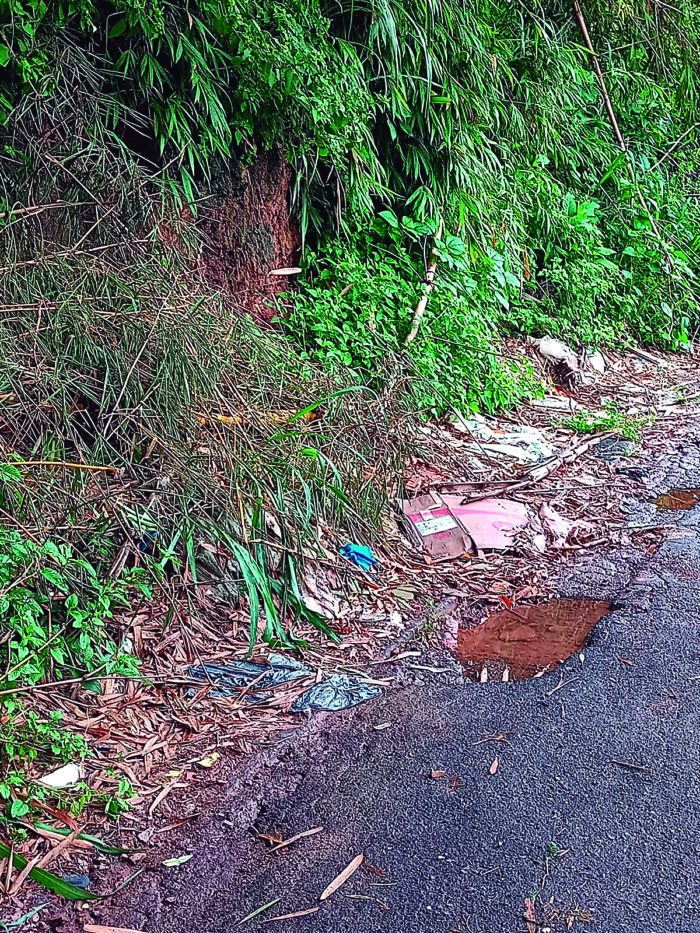 Leitora denuncia falta de limpeza e capina na Zona Leste 1 vu 25 10 22