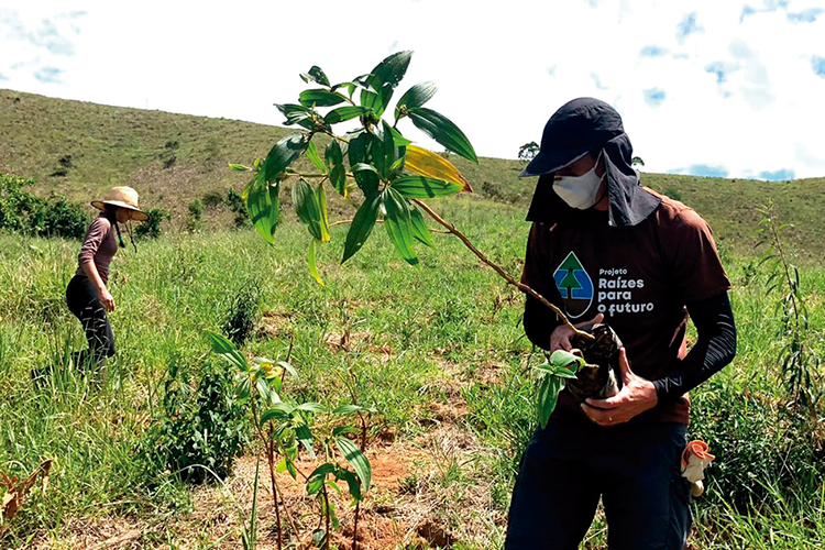 Fazenda Experimental busca reflorestar entorno da represa de Chapéu D'Uvas 1 3Fazenda experimental ufjf