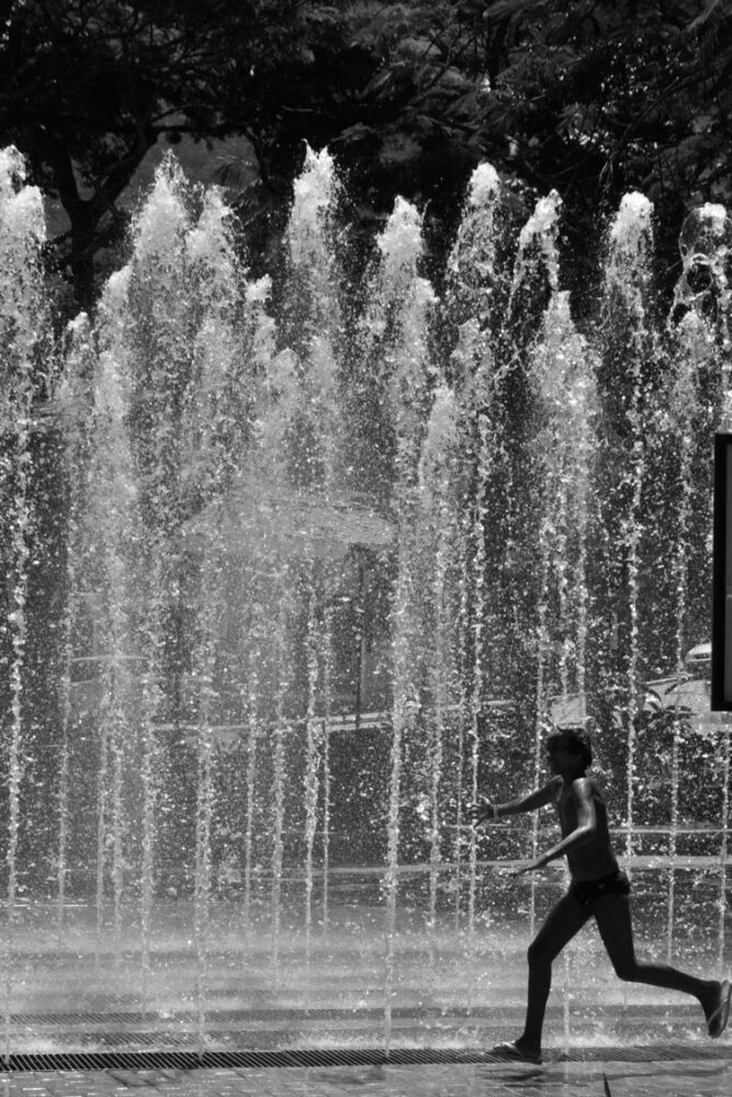 Espaço Manufato recebe segunda edição da Feira de Fotografia 1 CreditoPaulaDuarte 1